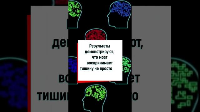 Мозг способен слышать тишину, мозг человека, наука, институт научных коммуникаций, ИНК, #shorts