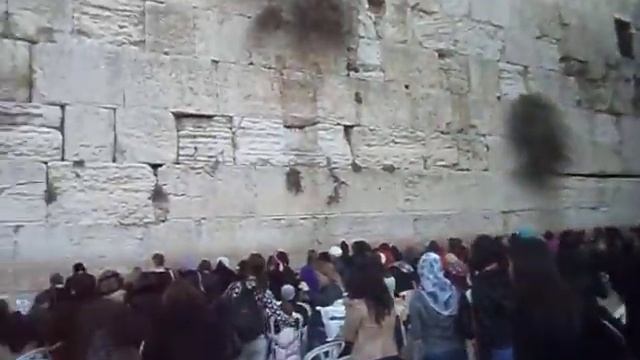 Kotel com a Dani смотреть онлайн
