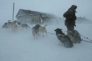 Две волшебные песни о любви - Юрий Визбор, Станислав Пожлаков