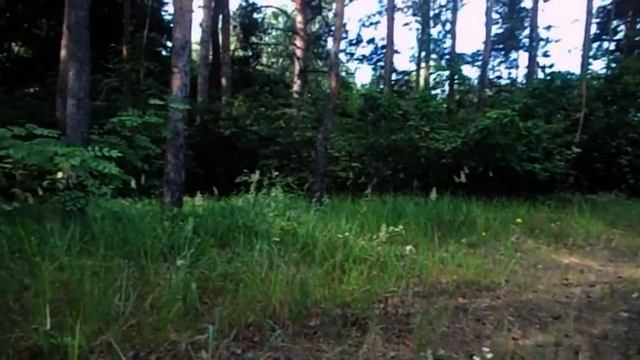 САМВЕЛ АДАМЯН МАТЬ ВОДИЛА ЖИГУЛИ АРШАЛУЙСА смотреть онлайн