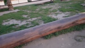 Самая длинная такса , 9м.