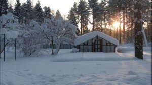 Зимовка на даче.