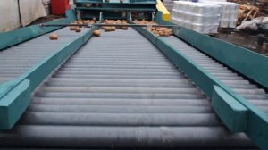 сортировка картофеля