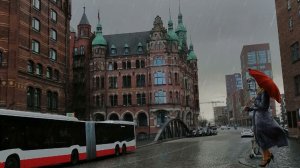 Футаж Дождь в городе