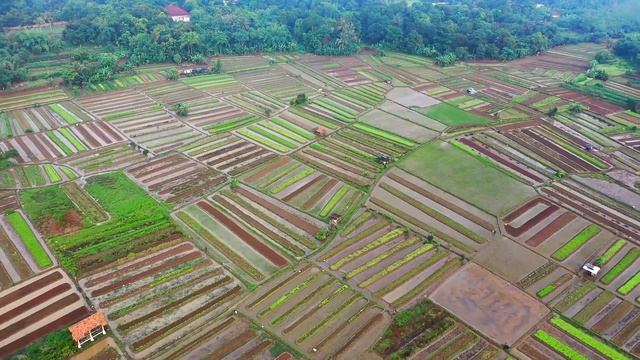 Индонезия (INDONESIA) 4K Ultra HD - Удивительно красивая природа (остров Бали, Индонезия) смотреть онлайн