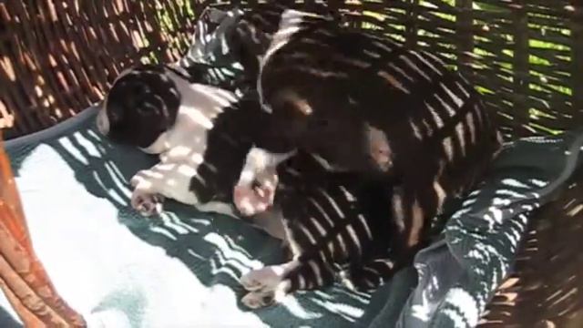 май 2014 1 смотреть онлайн