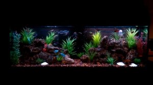 Аквариум 2 метра длинной!