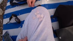 Весна в Корее ^^ Гуляем всей семьёй ;) KOREA VLOG