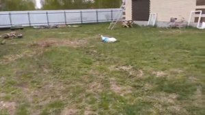 Установка септика дочиста профи 4 пр; бонус - пример следствия не грамотной установки