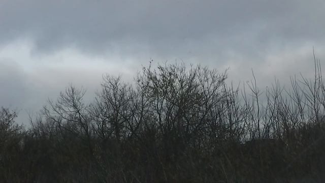 Russian hunting. Crow hunting. Охота на ворону, сороку. По заводам-огородам.