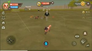 ПОПОЛНЕНИЕ В СЕМЬЕ ЛИСИЧЕК! Новый питомец – котенок в WildCraft!