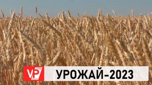 ВОЛГОГРАДСКИЕ СЕЛЬХОЗПРОИЗВОДИТЕЛИ ПОЛУЧИЛИ 2,7 МЛРД. РУБЛЕЙ ГОСПОДДЕРЖКИ