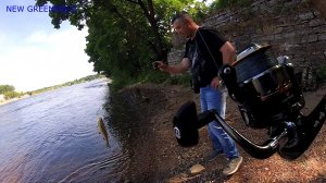 Рыбалка. Как ловить Голавля на Батон.р.Нарова,Ивангород.Июнь.2018г.