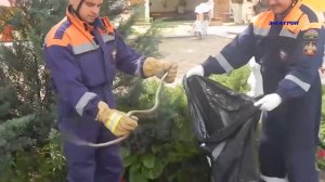 В детский сад ст. Нижнебаканской пробралась змея.