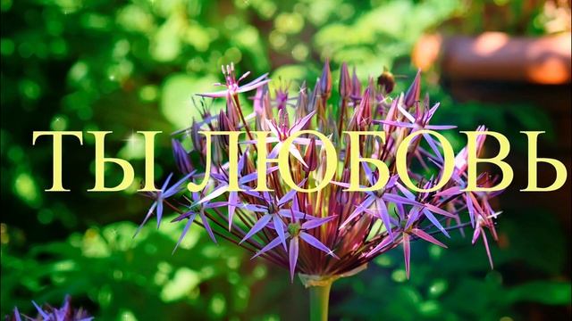"На Счастье!" ?☀️ - положительные установки и пожелания, авторские слова, музыка, фото и видео