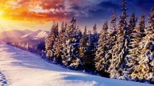 Революция шагает по планете. Аштар Шеран, Галактическая Федерация Света.