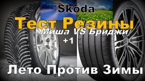 Skoda: Тест Резины - Лето Против Зимы При +1 (2024)