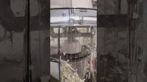 шинковка капусты кухонный комбайн bosch mum58252ru