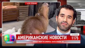 CSBSVNNQ Американские новости — выпуск #1175 от 06.01.2024