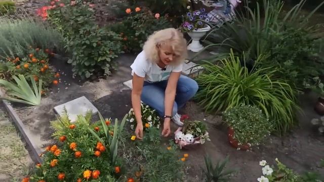 Посадил и забыл. Цветы на моей даче смотреть онлайн