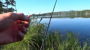 Рыбалка и две ночевки  с друзьями на Десногорском водохранилище.Фидер , донка или флэт метод ?