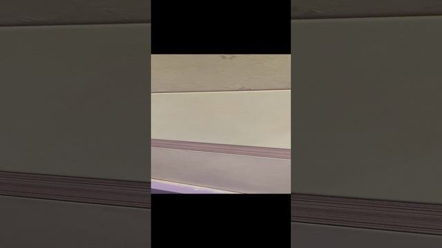 приколы из школы