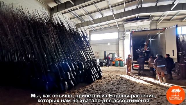 Как мы работаем в текущей ситуации смотреть онлайн