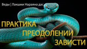 24 | ЗМЕЯ, пожирающая нас изнутри. Как избавиться от зависти | Веды | Лакшми Нараяна дас