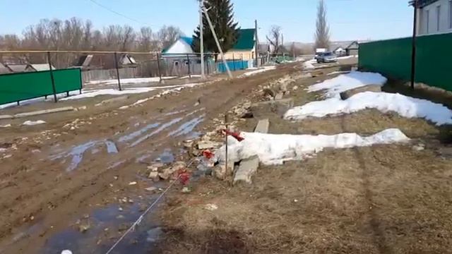 дороги в д. ташлы, бавлинский р-н, РТ. смотреть онлайн