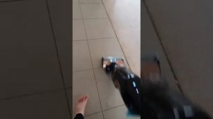 Bissell crosswave cordless max review 2020