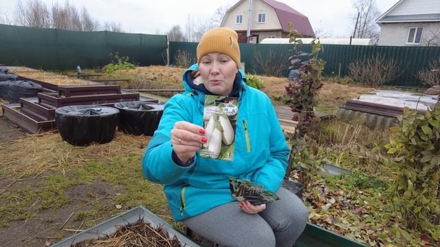 БАКЛАЖАНЫ БЕЗ ГОРЕЧИ ДЛЯ ШАШЛЫКА И БАРБЕКЮ | Планируем ранний урожай