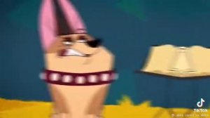 101 далматинец