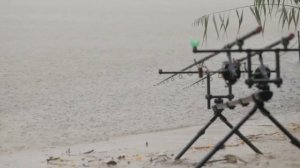 Как поймать карпа летом? Особенности ловли карпа в июле.