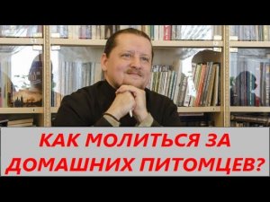 Вопрос ответ: Как молиться за домашних питомцев?