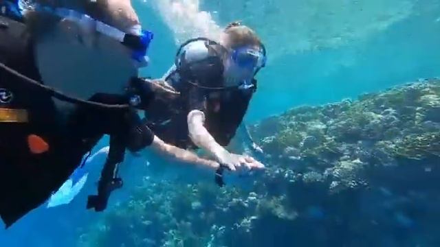 Scuba Diving Hurghada смотреть онлайн