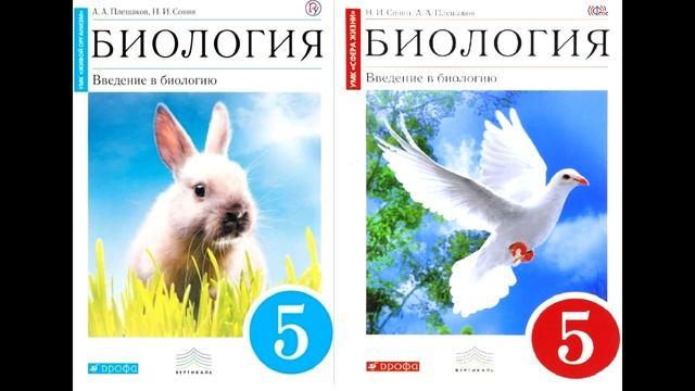 § 11 Бактерии