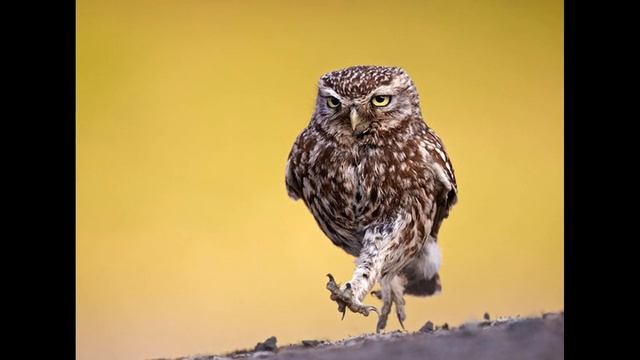 159 день. Иду и делаю дела смотреть онлайн