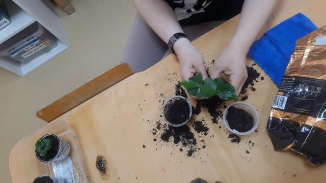 И снова кофе смотреть онлайн