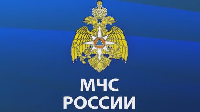 Добровольные пожарные и добровольная пожарная охрана
