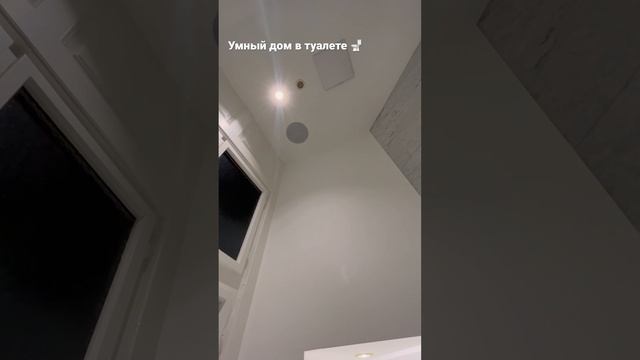 Умный дом в туалете #умныйдом #smarthome смотреть онлайн