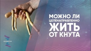 Можно ли целенаправленно жить от кнута