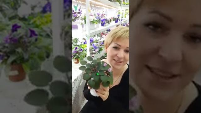 Трейлеры, виды, выращивание, формирование на всех этапах роста. Особенности выращивания.