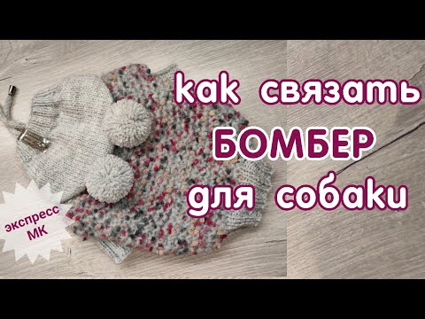 Как связать бомбер спицами для собаки и кошки. МастерКласс