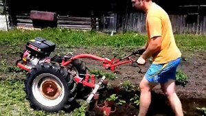 Первое окучивание картофеля после посадки мотоблоком беларус-09Н МТЗ