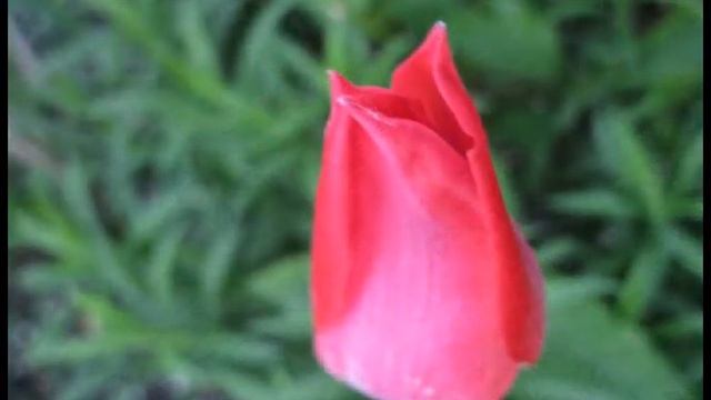 Майское утро смотреть онлайн