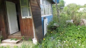 Продается дача 50 кв.м. на участке 4,8 соток Калужская обл., Боровский р-н, СНТ Восход, д.Тимашово