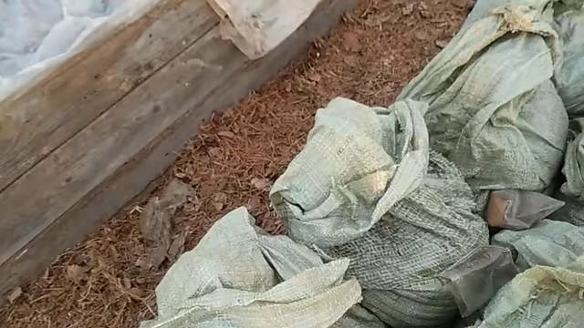 20 апреля МИНУС ПЯТЬ в неотапливаемой теплице огурцы выдержали смотреть онлайн