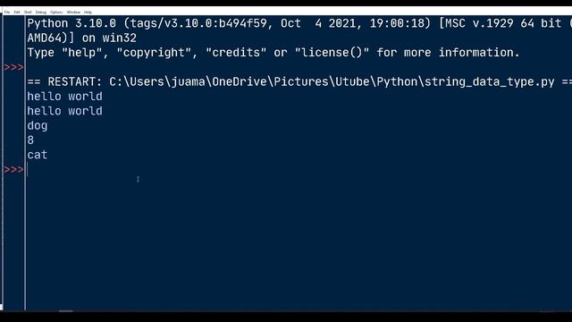 Python String Datatype