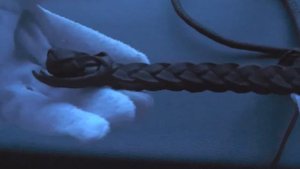 Кнут коричневый 3 м (со специальной обработкой) - nozh74.ru     -