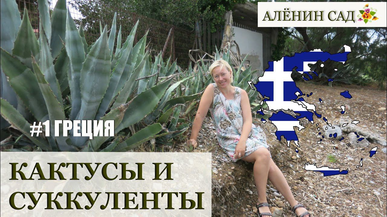 ГРЕЦИЯ / КАКТУСЫ И СУККУЛЕНТЫ в диких условиях / В гостях у блогера - коллекционера кактусов